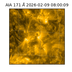 saia - 2026-02-09T08:00:09.349000
