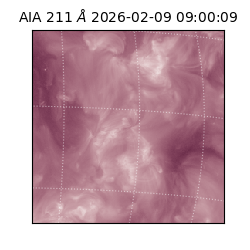 saia - 2026-02-09T09:00:09.626000
