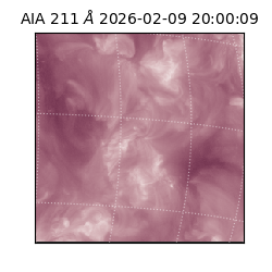 saia - 2026-02-09T20:00:09.630000