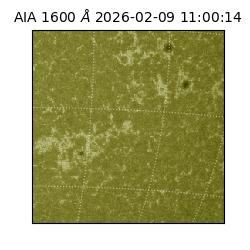 saia - 2026-02-09T11:00:14.126000