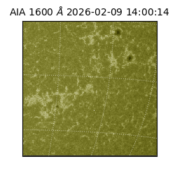 saia - 2026-02-09T14:00:14.129000