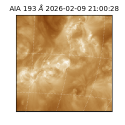 saia - 2026-02-09T21:00:28.843000