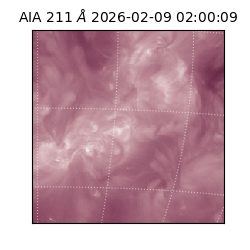 saia - 2026-02-09T02:00:09.626000