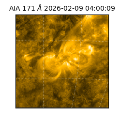 saia - 2026-02-09T04:00:09.350000