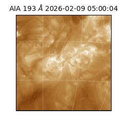 saia - 2026-02-09T05:00:04.843000