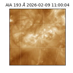 saia - 2026-02-09T11:00:04.843000