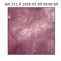 saia - 2026-02-09T09:00:09.626000