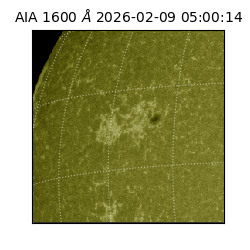 saia - 2026-02-09T05:00:14.126000