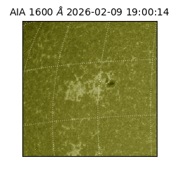 saia - 2026-02-09T19:00:14.126000