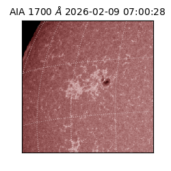 saia - 2026-02-09T07:00:28.717000