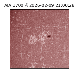 saia - 2026-02-09T21:00:28.718000