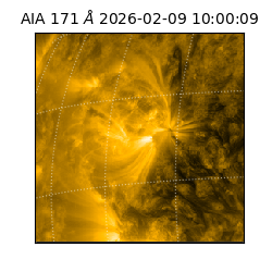 saia - 2026-02-09T10:00:09.350000