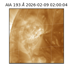 saia - 2026-02-09T02:00:04.847000