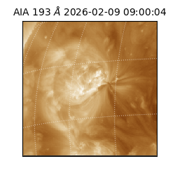 saia - 2026-02-09T09:00:04.843000