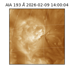 saia - 2026-02-09T14:00:04.843000