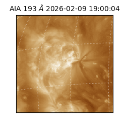 saia - 2026-02-09T19:00:04.843000