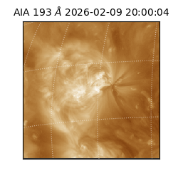 saia - 2026-02-09T20:00:04.843000