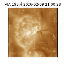 saia - 2026-02-09T21:00:28.843000