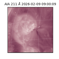saia - 2026-02-09T09:00:09.626000