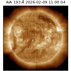 saia - 2026-02-09T11:00:04.843000