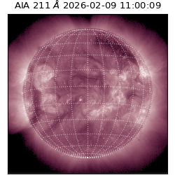 saia - 2026-02-09T11:00:09.626000