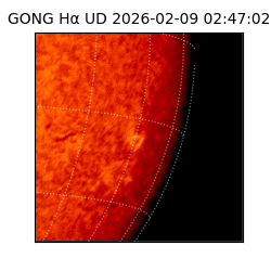 gong - 2026-02-09T02:47:02