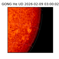 gong - 2026-02-09T03:00:02