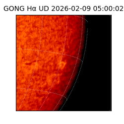gong - 2026-02-09T05:00:02