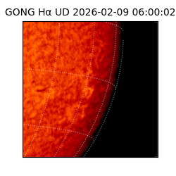 gong - 2026-02-09T06:00:02