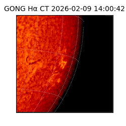 gong - 2026-02-09T14:00:42