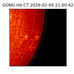 gong - 2026-02-09T21:00:42