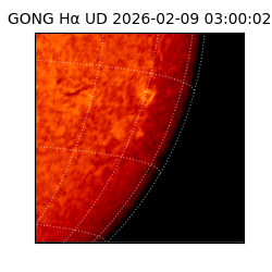 gong - 2026-02-09T03:00:02