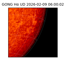 gong - 2026-02-09T06:00:02