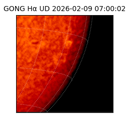 gong - 2026-02-09T07:00:02