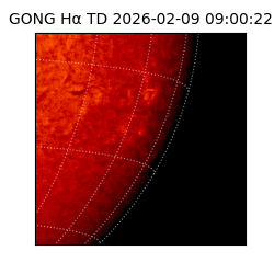 gong - 2026-02-09T09:00:22