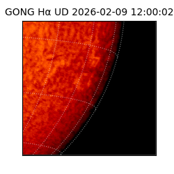 gong - 2026-02-09T12:00:02