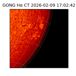 gong - 2026-02-09T17:02:42