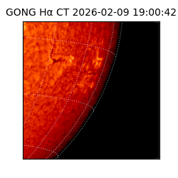 gong - 2026-02-09T19:00:42