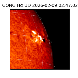 gong - 2026-02-09T02:47:02