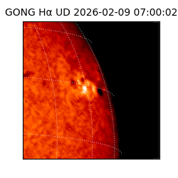gong - 2026-02-09T07:00:02