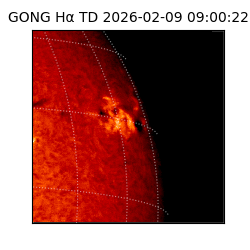 gong - 2026-02-09T09:00:22