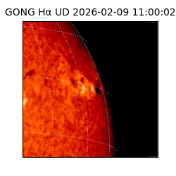 gong - 2026-02-09T11:00:02