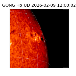gong - 2026-02-09T12:00:02