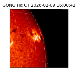 gong - 2026-02-09T16:00:42