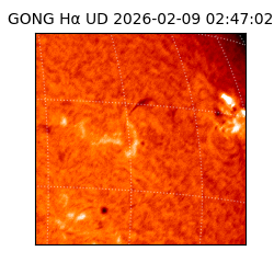 gong - 2026-02-09T02:47:02