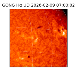 gong - 2026-02-09T07:00:02