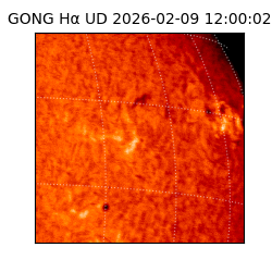 gong - 2026-02-09T12:00:02
