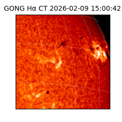 gong - 2026-02-09T15:00:42