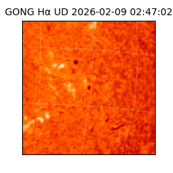 gong - 2026-02-09T02:47:02