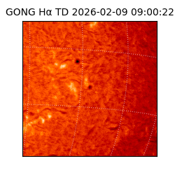gong - 2026-02-09T09:00:22